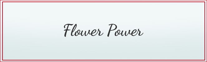 Flower Power – erlebe das große Comeback der Hippie-Styles