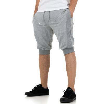 Shorts für Herren in Grau